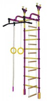 Детский спортивный комплекс "Жирафик" фиолет.-желтый - Интернет магазин тренажеров и спортивных товаров Ural Fitness в Екатеринбурге Урал Фитнес продажа тренажеров беговая дорожка велотренажер эллиптический тренажер теннисный стол электромобиль велосипед батут для детей снегокат санки