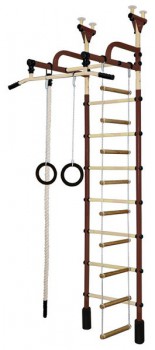 Детский спортивный комплекс "Жирафик" коричневый-бежевый - Интернет магазин тренажеров и спортивных товаров Ural Fitness в Екатеринбурге , Москва, Московская область Урал Фитнес продажа тренажеров беговая дорожка велотренажер эллиптический тренажер теннисный стол велосипед батут для детей 