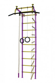 Детский спортивный комплекс  ДСК РТ05-ЛКнКо (Фиол.-желтый)  - Интернет магазин тренажеров и спортивных товаров Ural Fitness в Екатеринбурге Урал Фитнес продажа тренажеров беговая дорожка велотренажер эллиптический тренажер теннисный стол электромобиль велосипед батут для детей снегокат санки