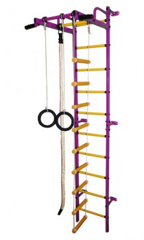 Детский спортивный комплекс "Карапуз" фиолетовый-желтый - Интернет магазин тренажеров и спортивных товаров Ural Fitness в Екатеринбурге , Москва, Московская область Урал Фитнес продажа тренажеров беговая дорожка велотренажер эллиптический тренажер теннисный стол велосипед батут для детей 