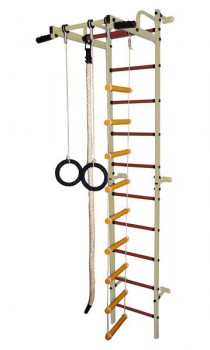 Детский спортивный комплекс "Карапуз" бежевый-коричневый - Интернет магазин тренажеров и спортивных товаров Ural Fitness в Екатеринбурге , Москва, Московская область Урал Фитнес продажа тренажеров беговая дорожка велотренажер эллиптический тренажер теннисный стол велосипед батут для детей 